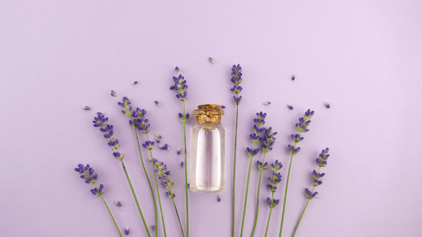 Lavender Oil not only Calms Anxiety but it will Protect your Aura too