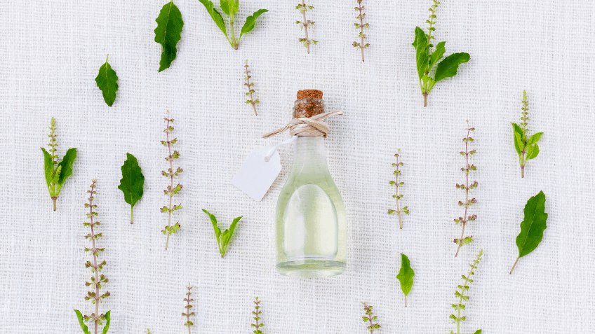 What are Carrier Oils and why do we use them in Aromatherapy